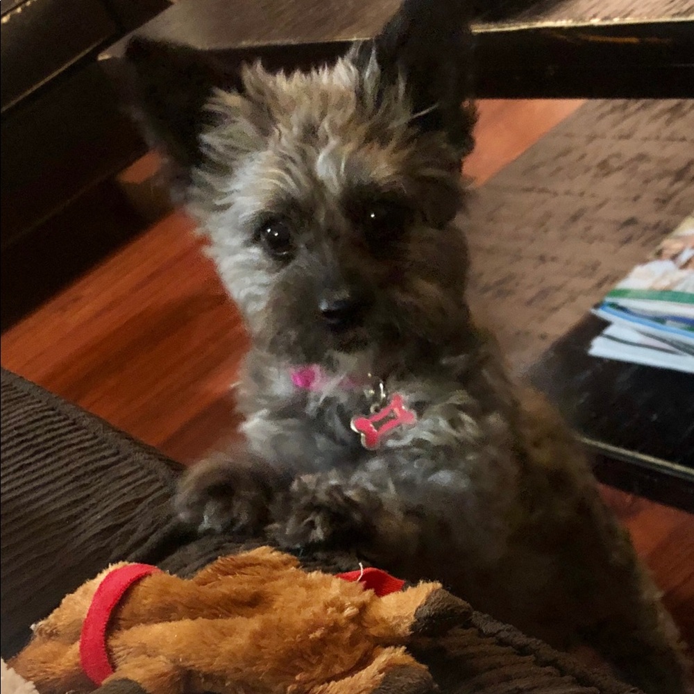 Meet your Posher, Kim